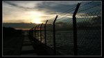 DSCF8739