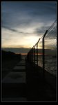 DSCF8741