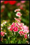 PICT0888