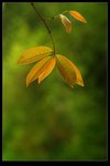 PICT0893