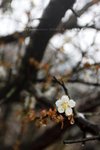 IMG_0012