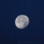 IMG_0368