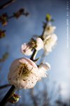 IMG_0410
