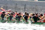 IMG_146501