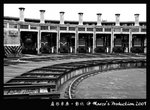 IMG_393001bwwn