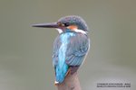 IMG_0912wn
