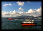IMG_0241