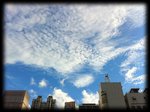 IMG_0243