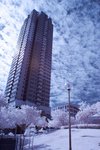 IMG_002101s
