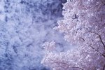 IMG_002301s