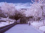 IMG_002601s