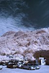 IMG_003201s