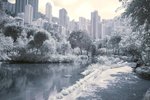 IMG_0290 IR3