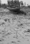 SIMG_005501B