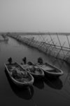 SIMG_009401B