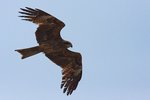 IMG_394601