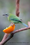 IMG_582101