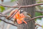 IMG_456201