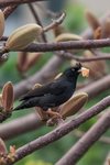 IMG_447801
