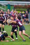 IMG_240501