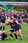 IMG_240601