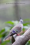 IMG_589901