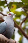 IMG_591401