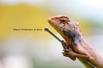 IMG_1711