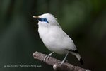 IMG_545401