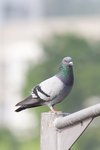 IMG_440801