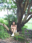 Ning4