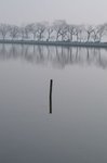PICT0176