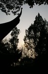 PICT0509