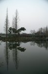 PICT0543