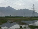 PICT0074