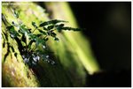 IMG_0614-web
