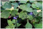 IMG_0615-web