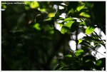 IMG_0617-web