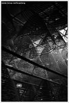 IMG_0463-bwweb