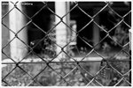 26270011-web