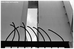 26270025-web