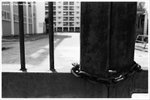 26270026-web