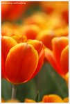 DSC00022-web