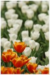 DSC00023-web