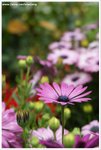DSC00090-web