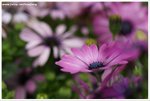 DSC00091-web