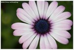 DSC00095-web