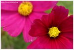 DSC00109-web