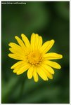 DSC00111-web