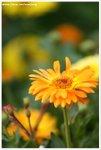 DSC00117-web